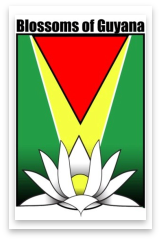 Blossoms Of Guyana